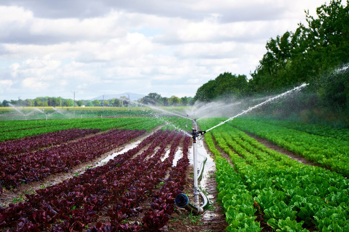 بازیافت آب برای کشاورزی