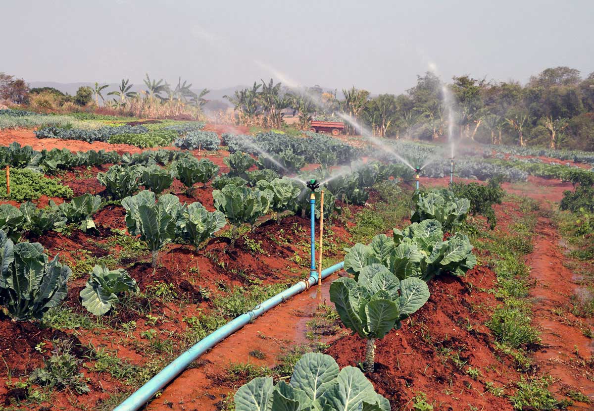 ده راهکار کاربردی برای کاهش مصرف آب در مزارع